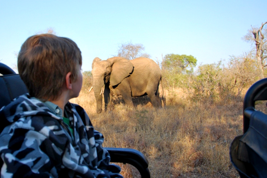 Seamus With Elephant