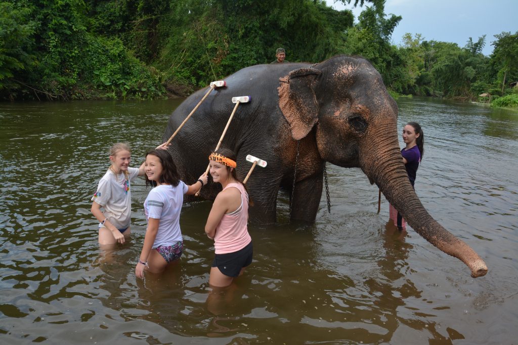 Elephant's World sanctuary, Kachanaburi, Thailand