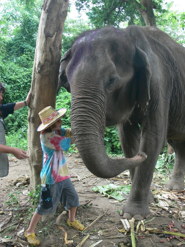 Thailand elephant sanctuary