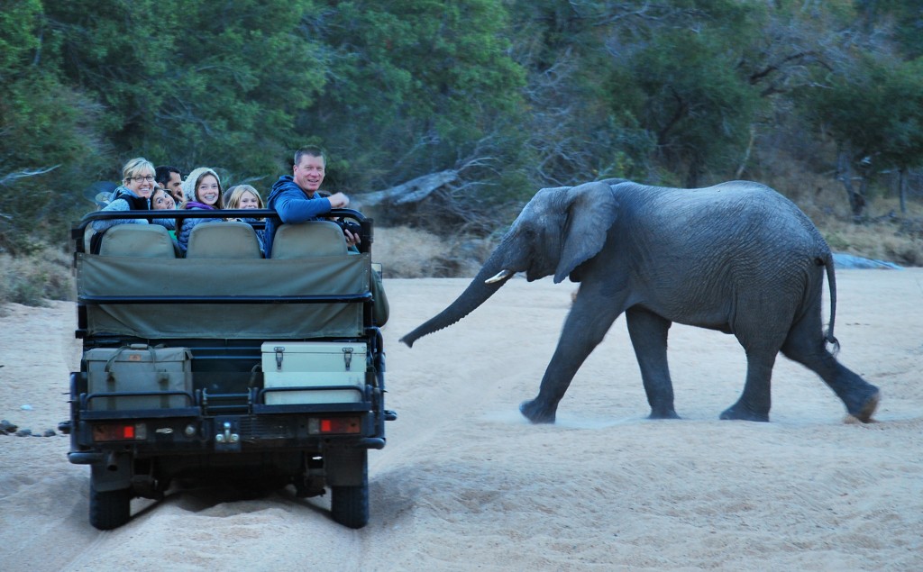 South Africa family safari