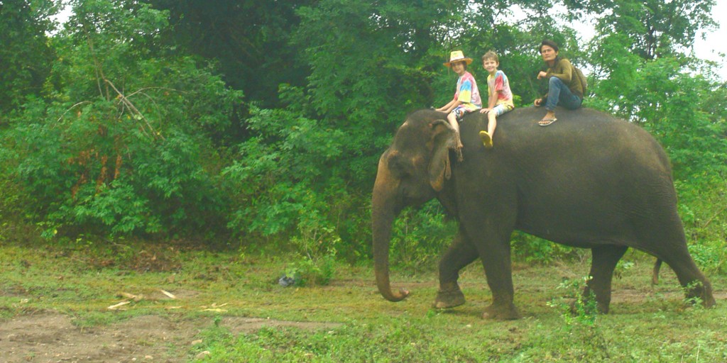 riding elephants