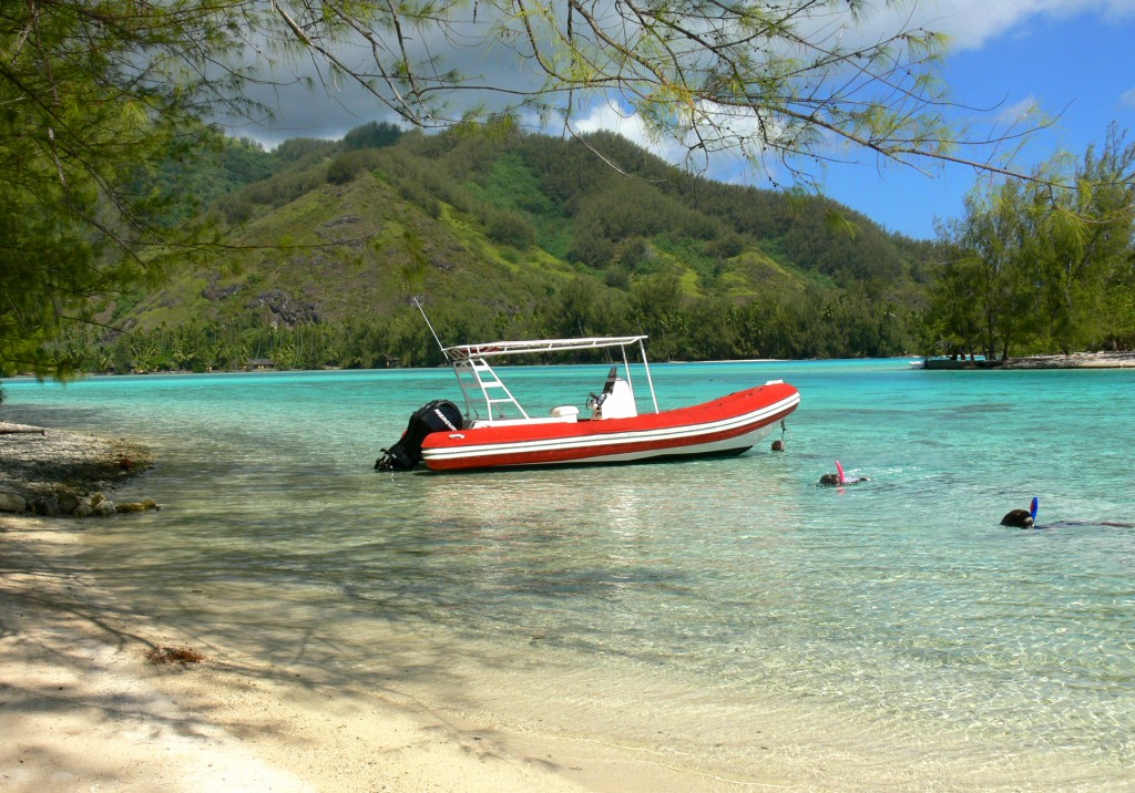 snorkeling moorea 2