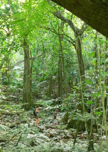 hike moorea