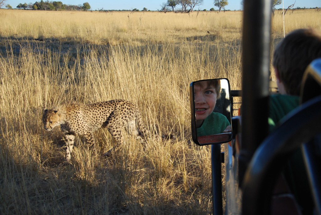 seamus w cheetah