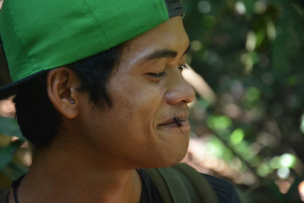 Army Ant, Gunung Leuser National Park, Indonesia