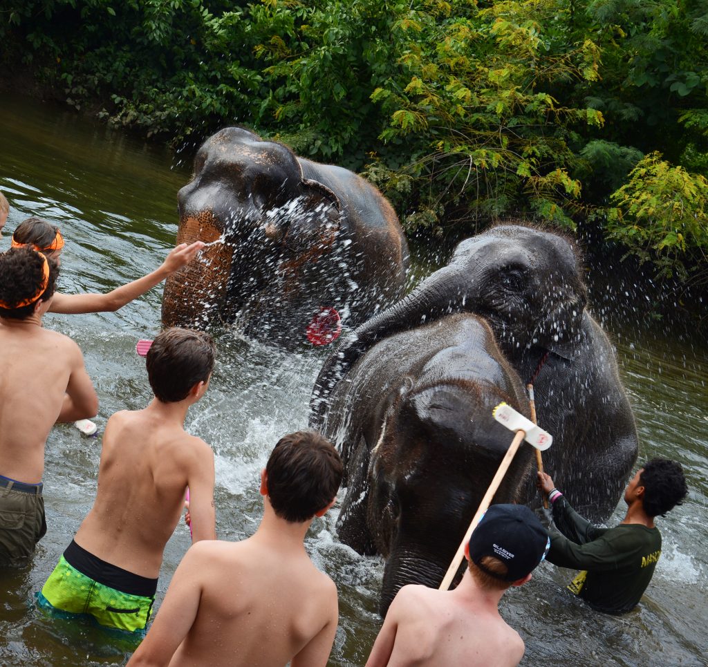 Elephant's World, Kanchanaburi, Thailand