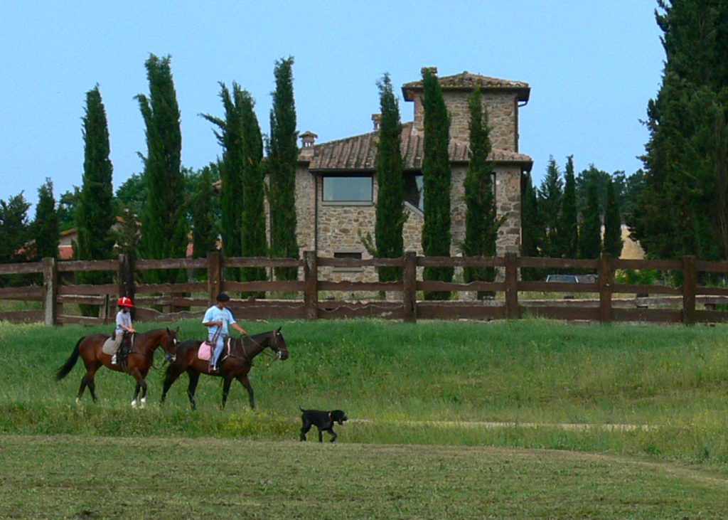 Riding polo horses, Tuscany, Italy