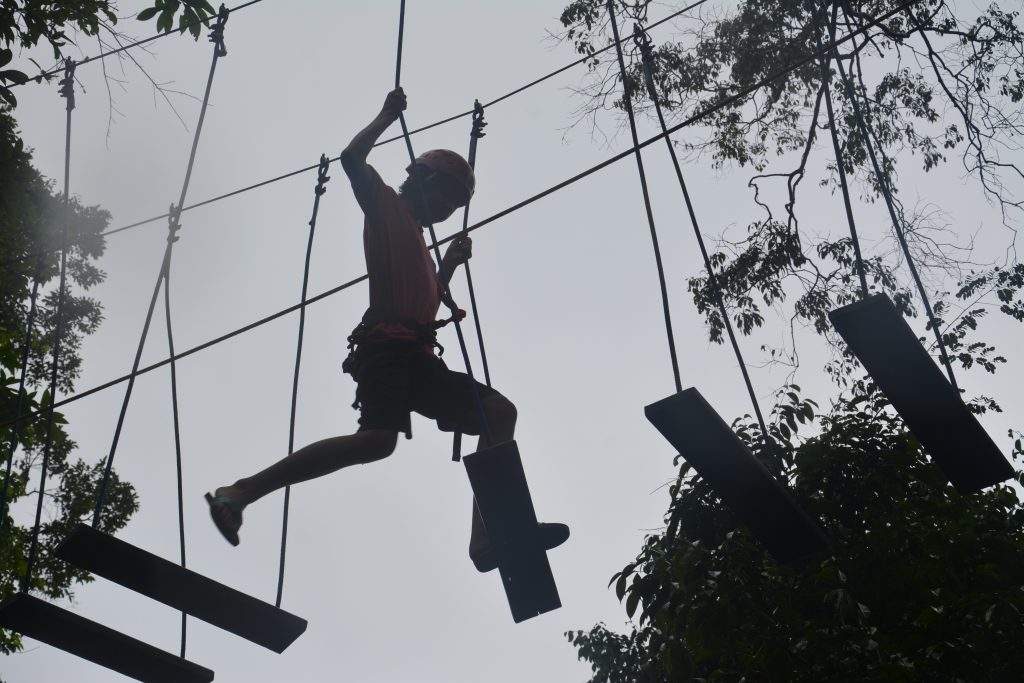 Boy walking on planks in tree, Cambodia