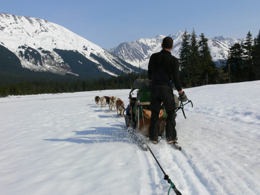 man on dog sled in snow field