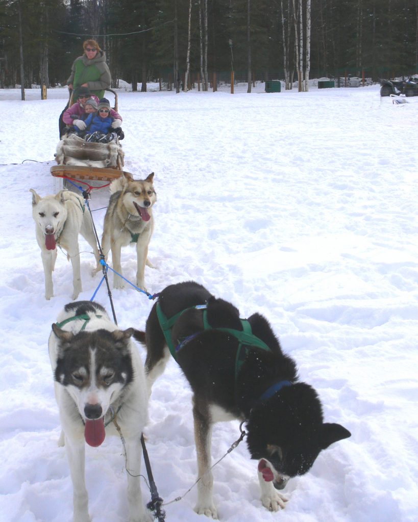 family on dog sled